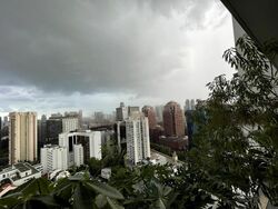 Scotts Square (D9), Apartment #465951971